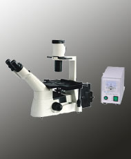 converted Binocular fluorescent microscope converted Binocular fluorescent microscope