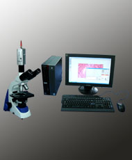 SA3300PL+图像分析系统
