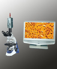 SA3300-TV Microscope 