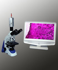 SA3300PL+电视显微镜